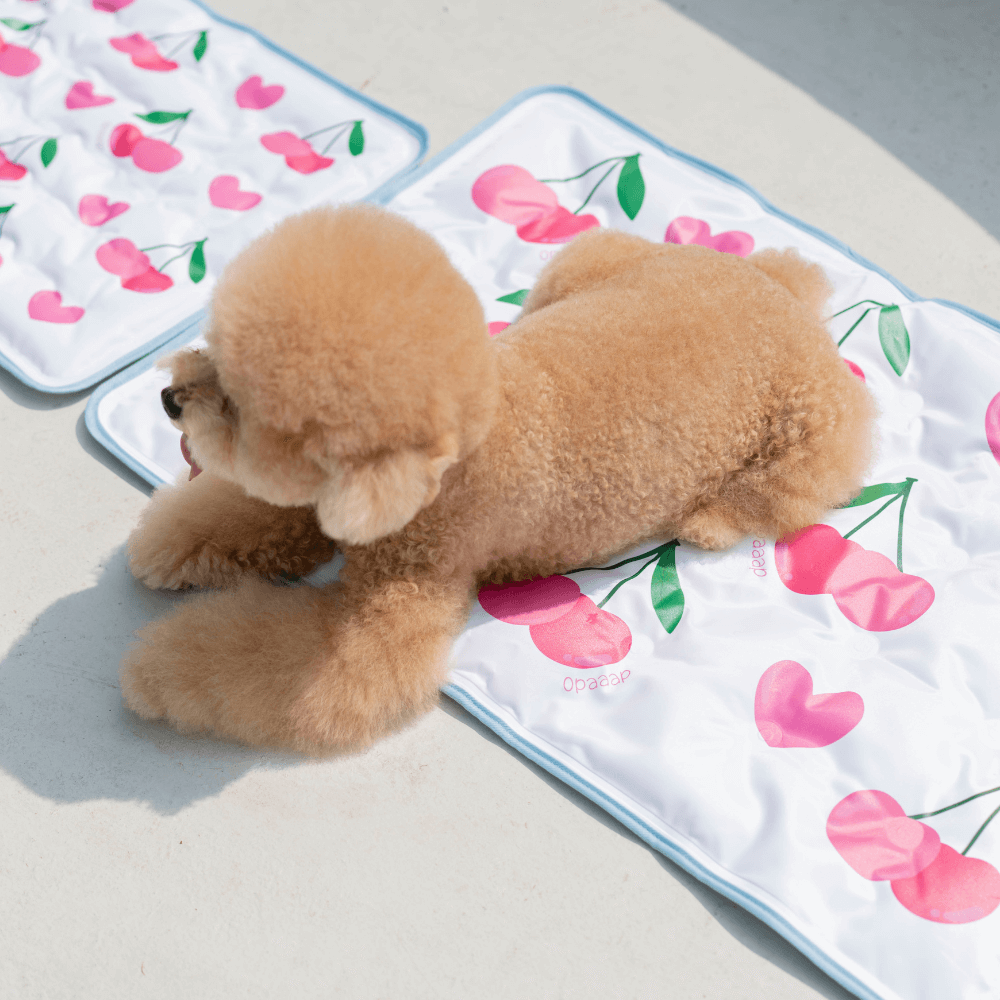 【予約】True COOL Ice Mat (4COLOR)