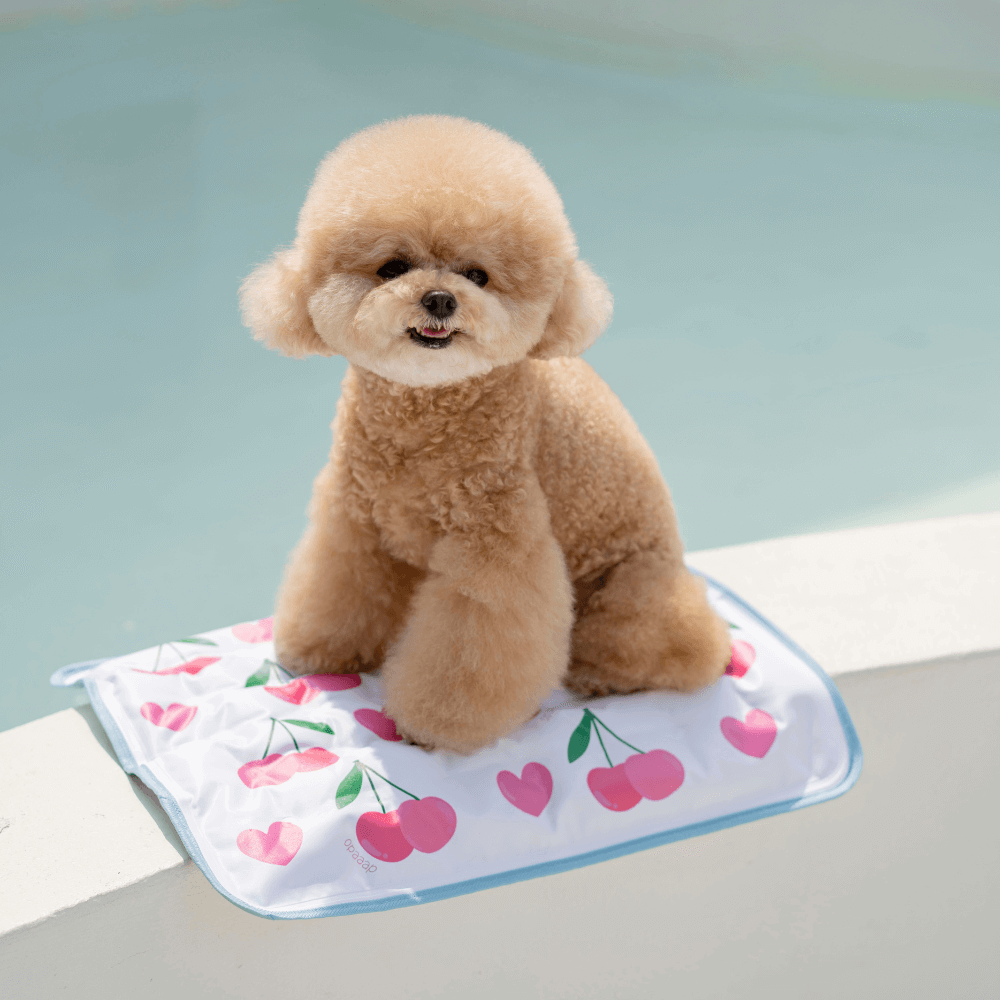 【予約】True COOL Ice Mat (4COLOR)