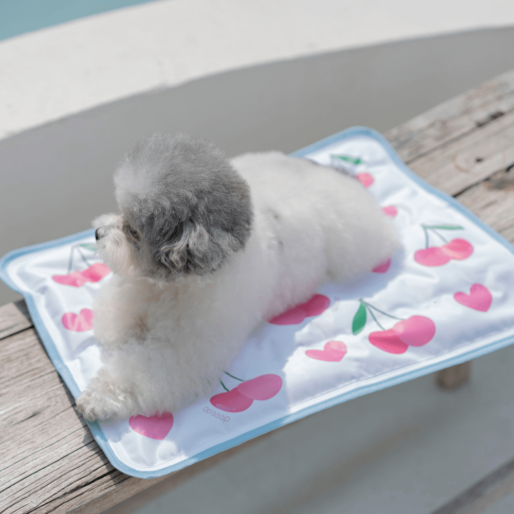 【予約】True COOL Ice Mat (4COLOR)