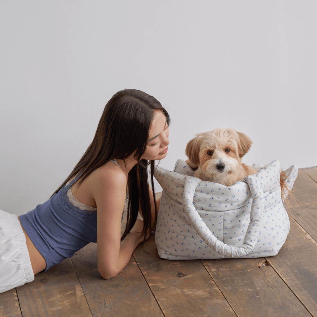 APERTY wide bag – baby blue｜韓国発の犬用キャリーバッグ｜MINIME