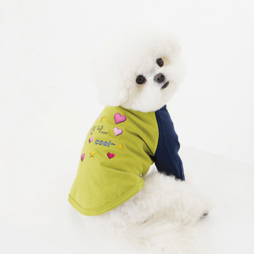 I'm cool raglan T-shirt