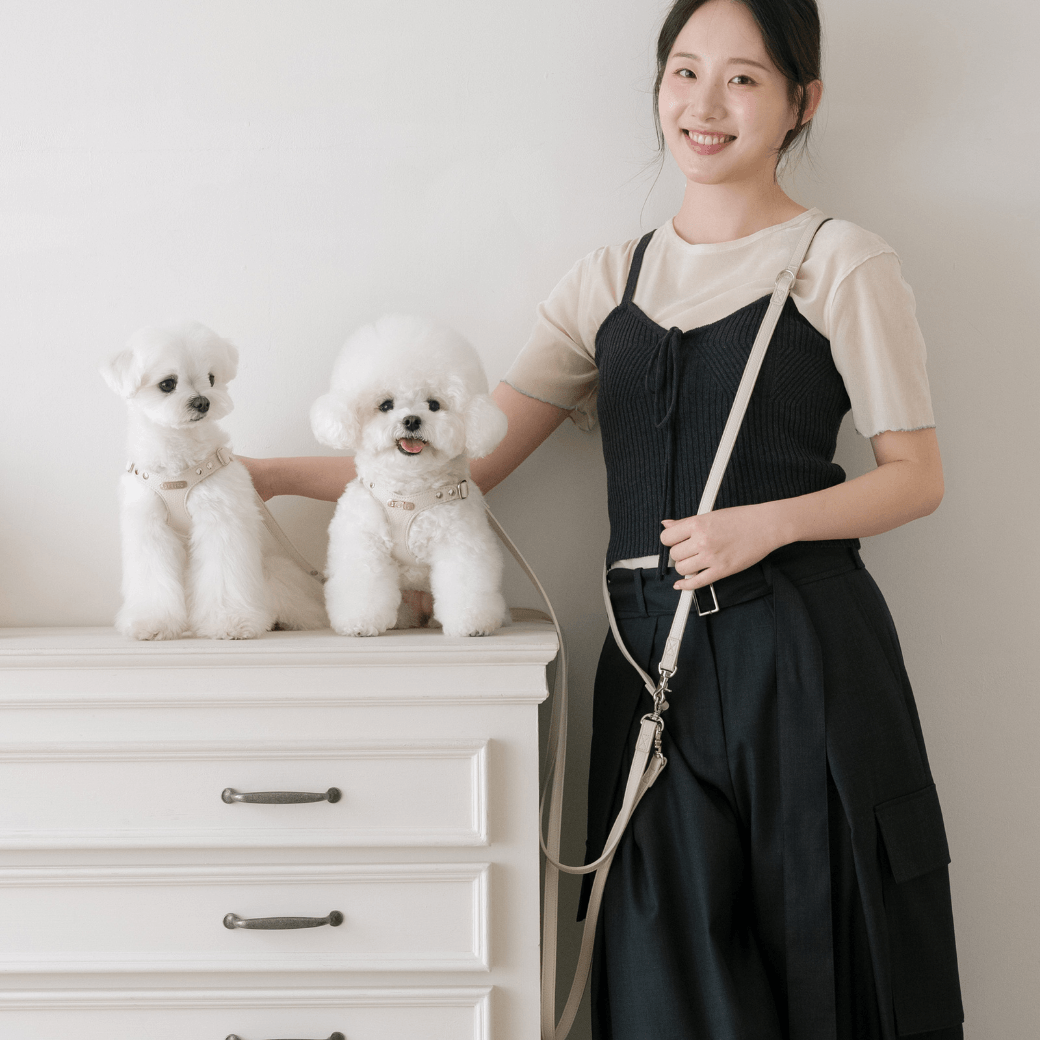 DELIGHT HANDS-FREE LEASH（クリーム）