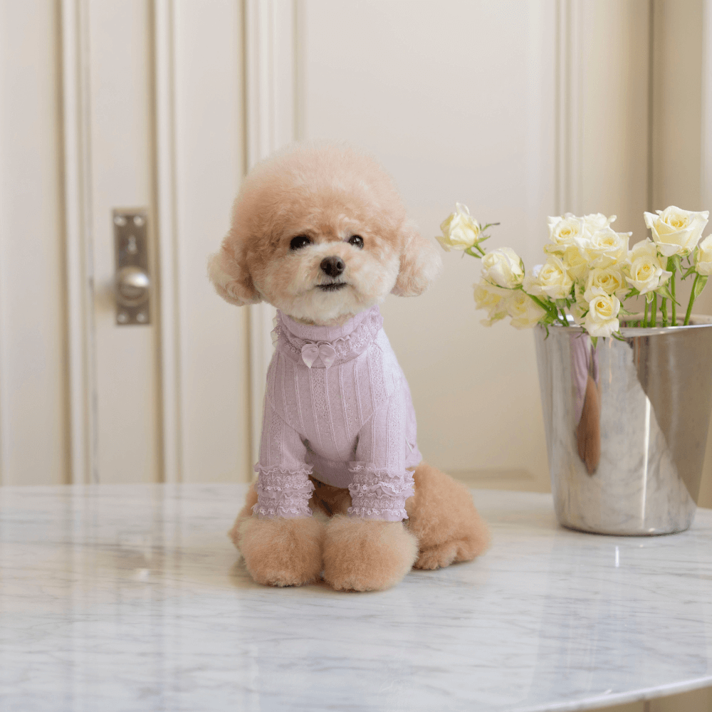 7th Limited Edition Lace Turtleneck(Berry)