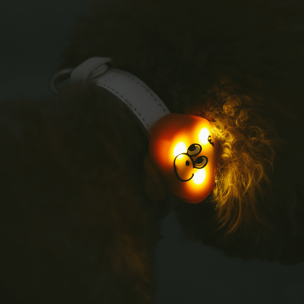 犬の夜散歩用LEDライト MINIME
