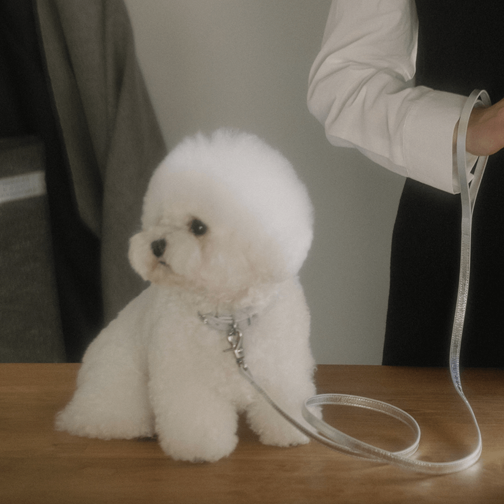 Lumiere Leash (Silver)