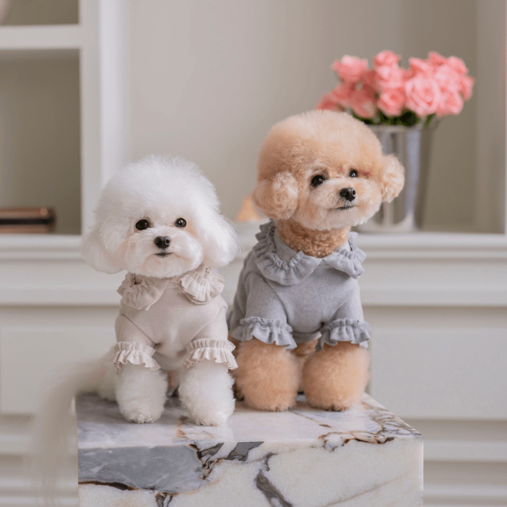 Plie Tu-Tu T-shirt(Beige)