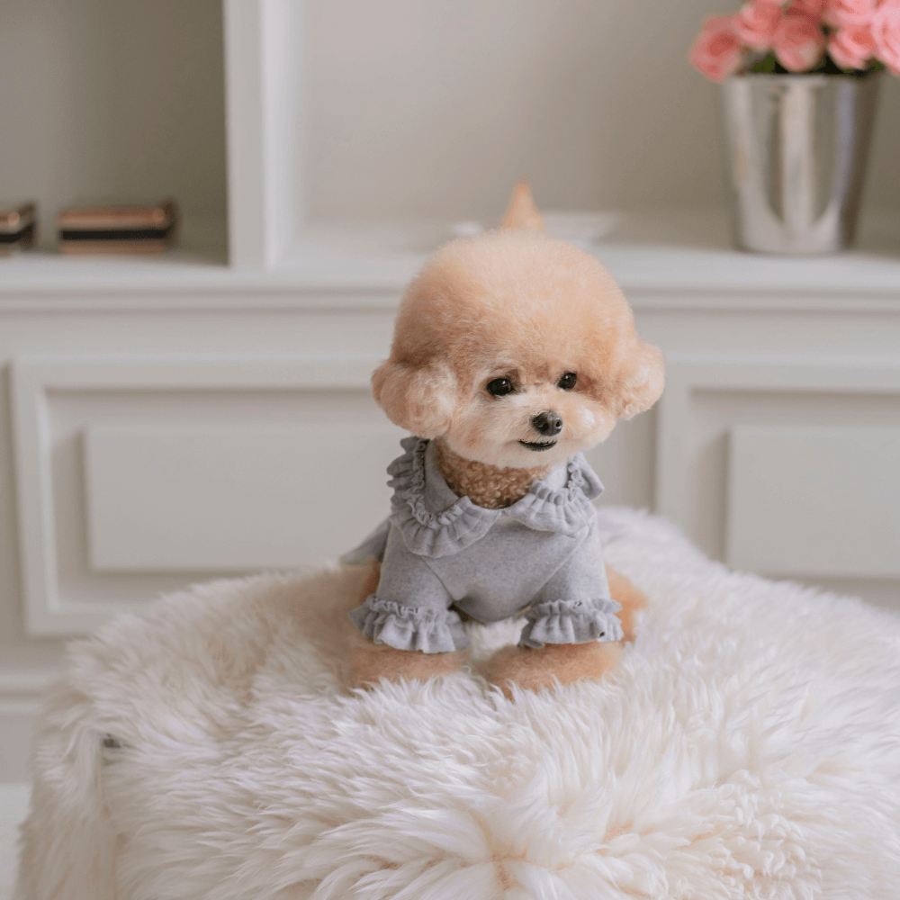 Plie Tu-Tu T-shirt(Gray)