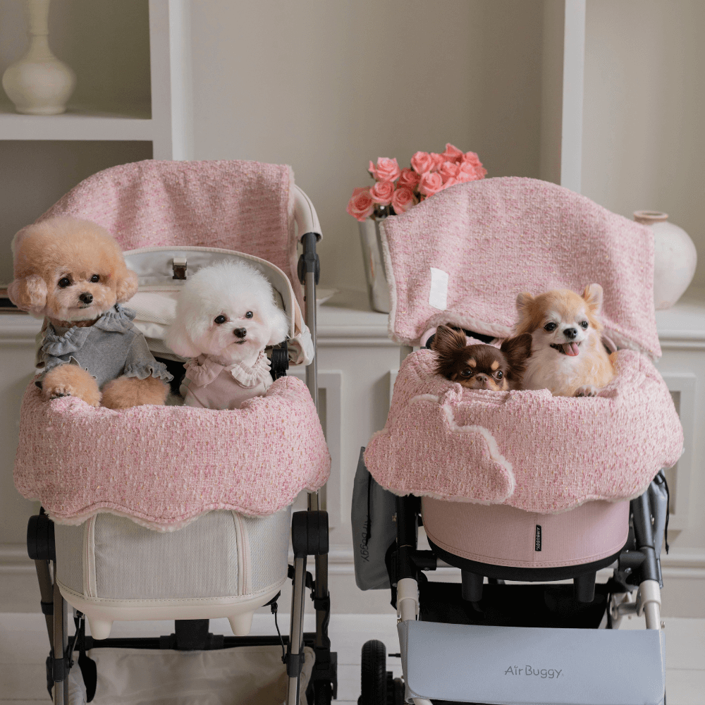 【予約】Couture Buggy Guard