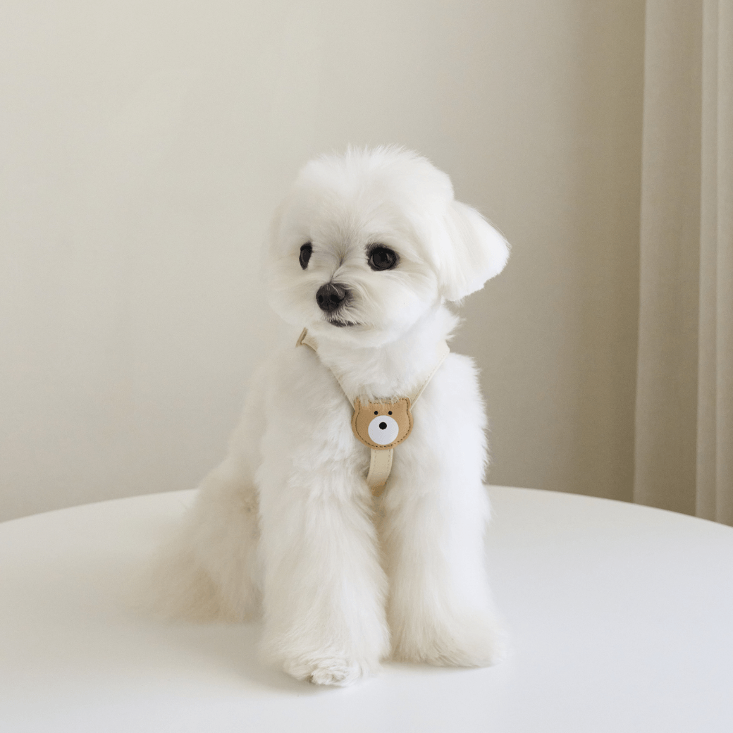 BEAR HARNESS(Ivory)