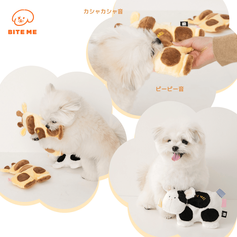 リトルフレンズTOY