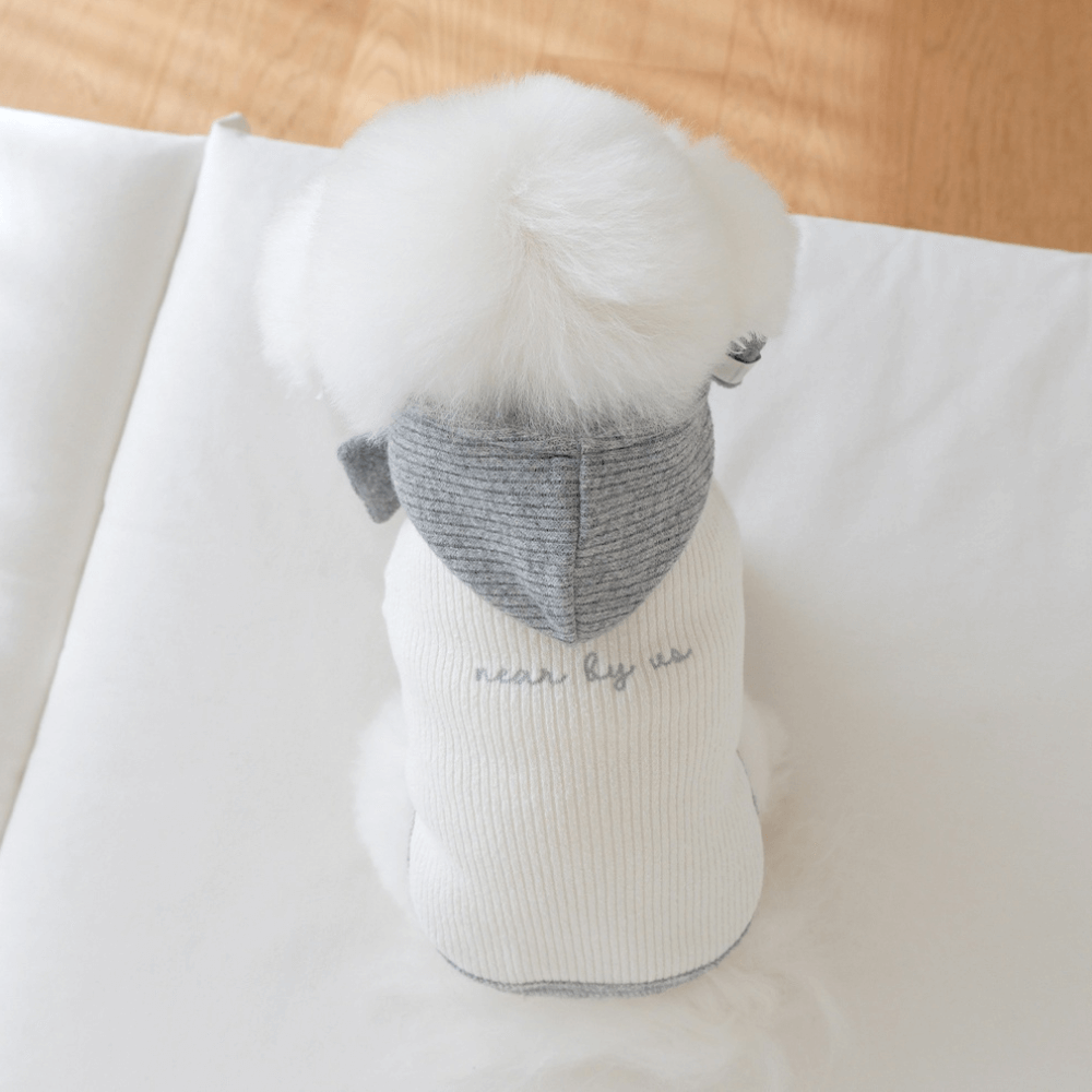 palette wool knit top (ivory)