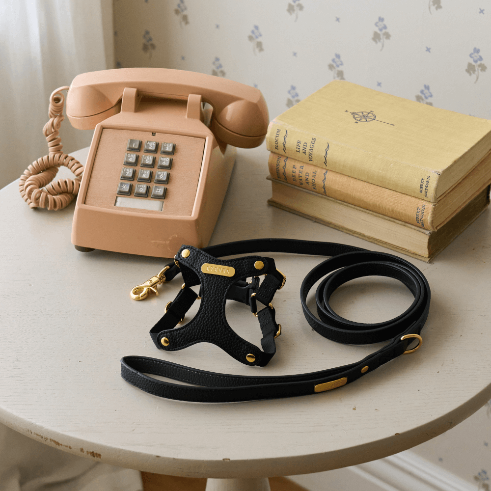 DELIGHT HARNESS バックルver(ブラック)