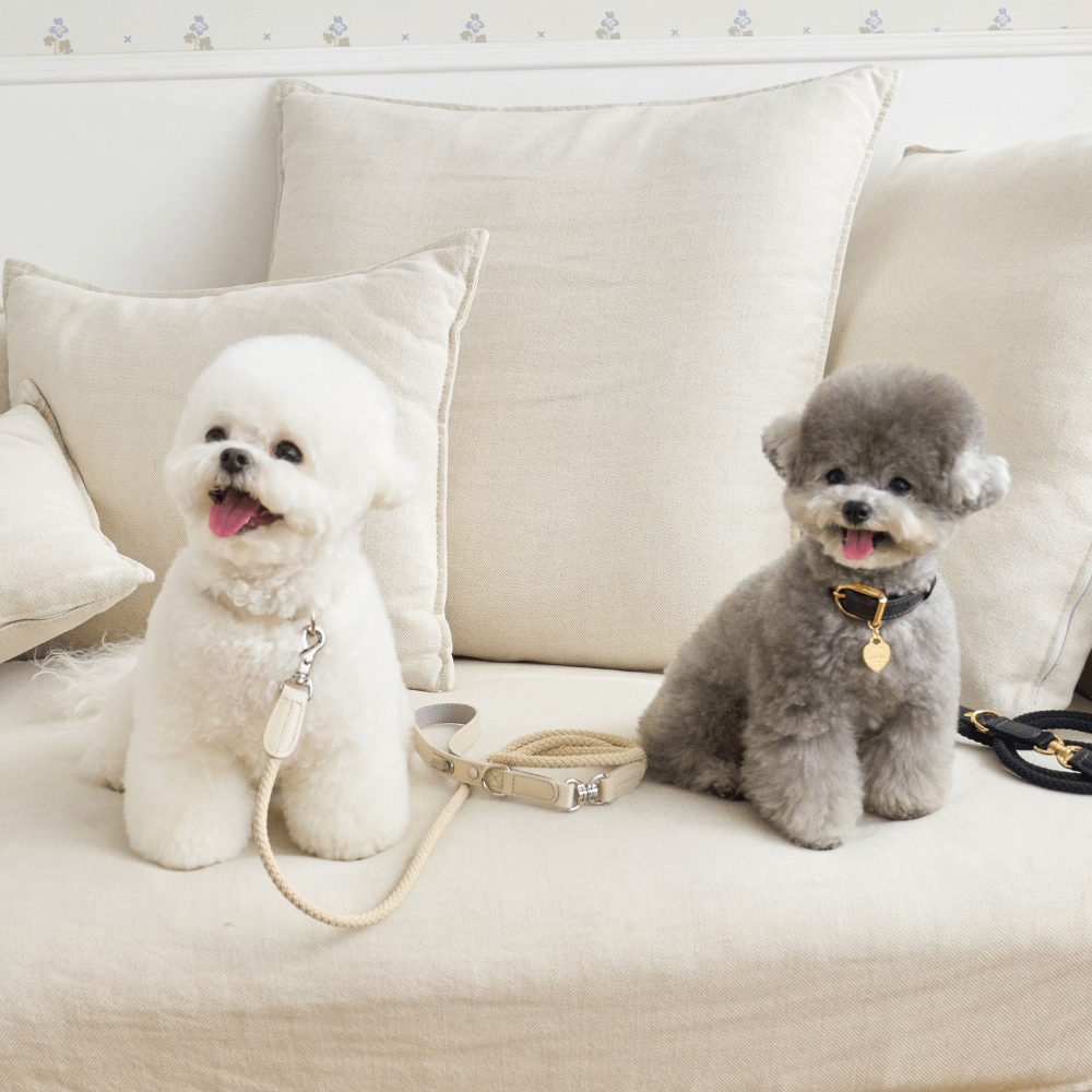 【予約】BLISS ROPE LEASH(Baby Cream)