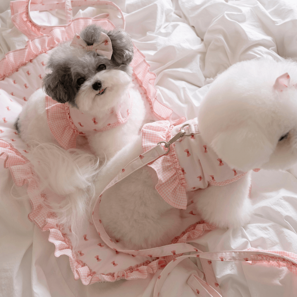 XOXO Candy Leash(Pink)