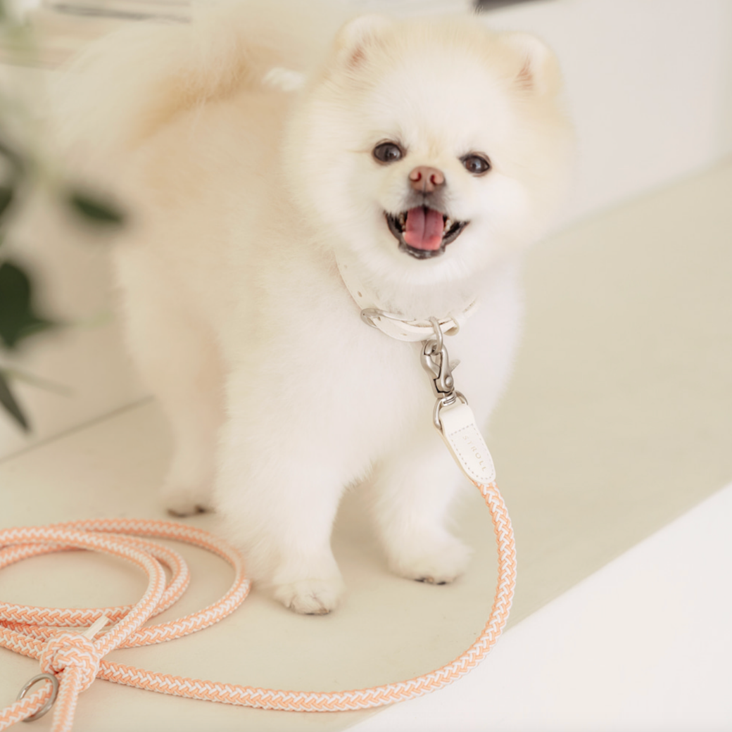 Rope Leash (Coral)