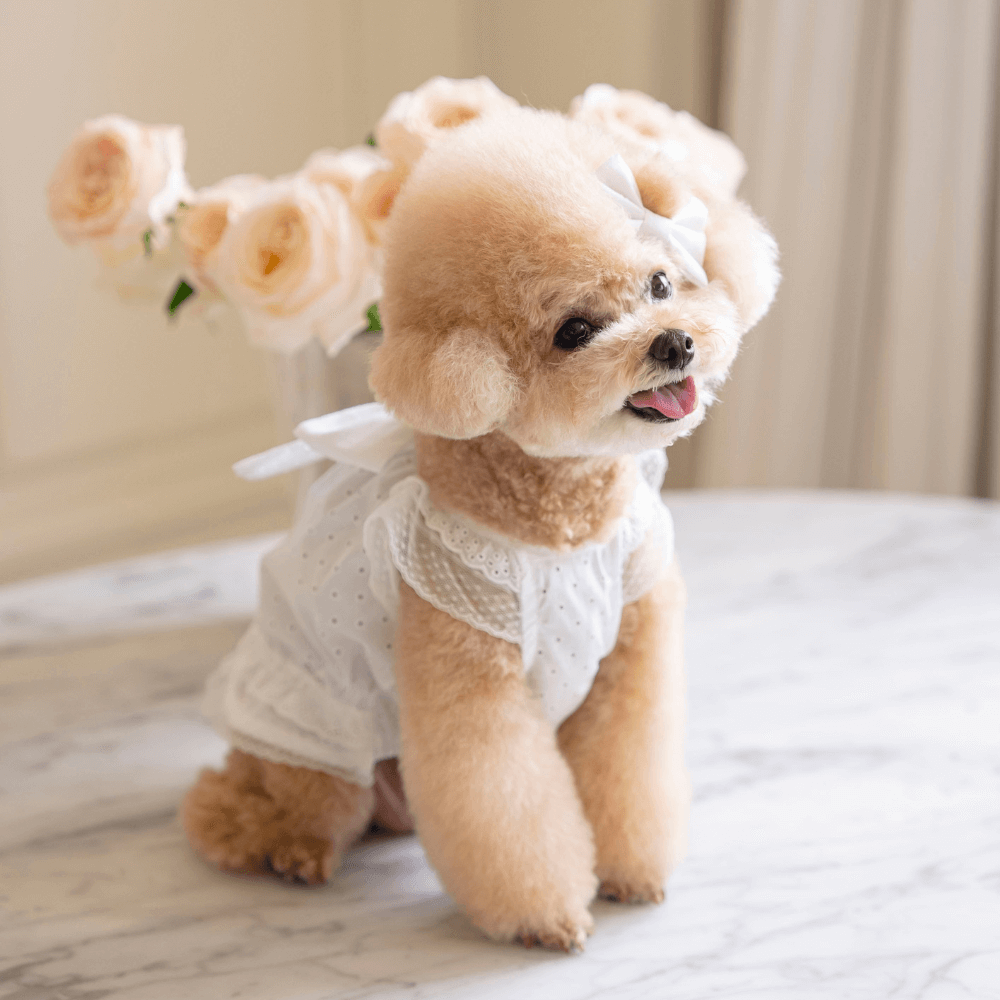 Malibu Dress(White Dot)