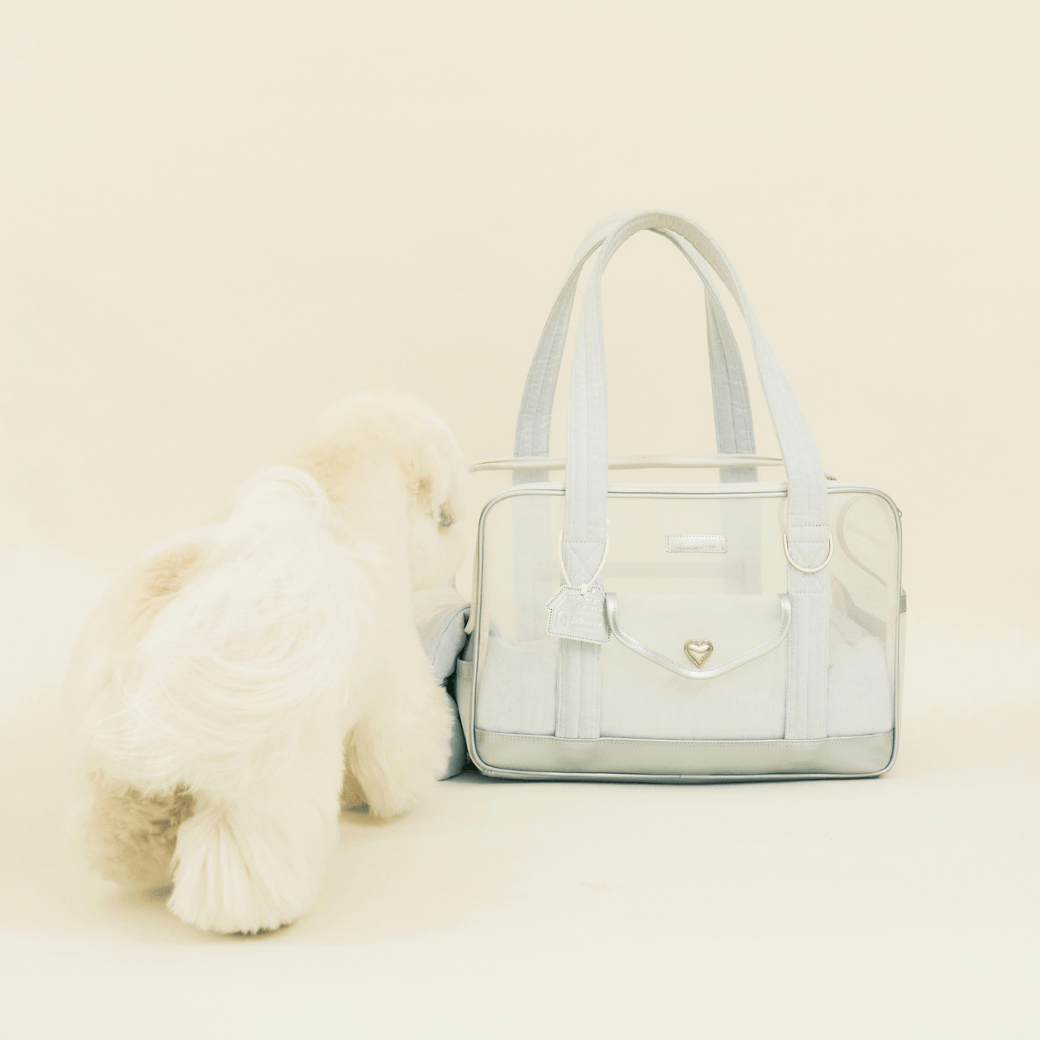 Mesh Ballon Bag (Silver & Blue)
