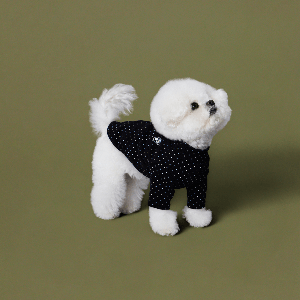DOT‥TEE (FOR DOGS)