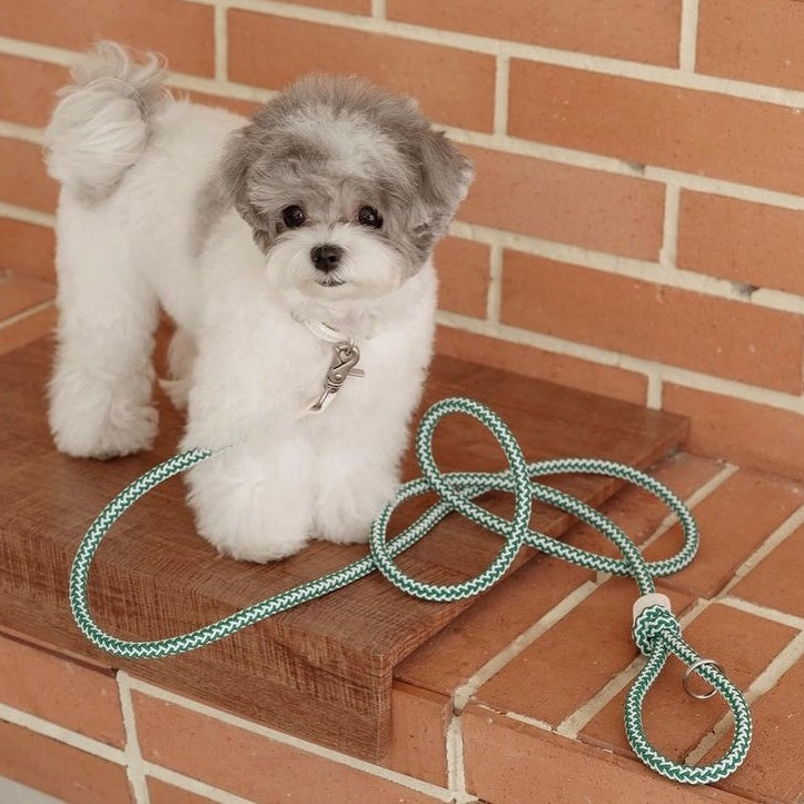 Classic Leash 1.8m 手持ちリード(フォレストグリーン)