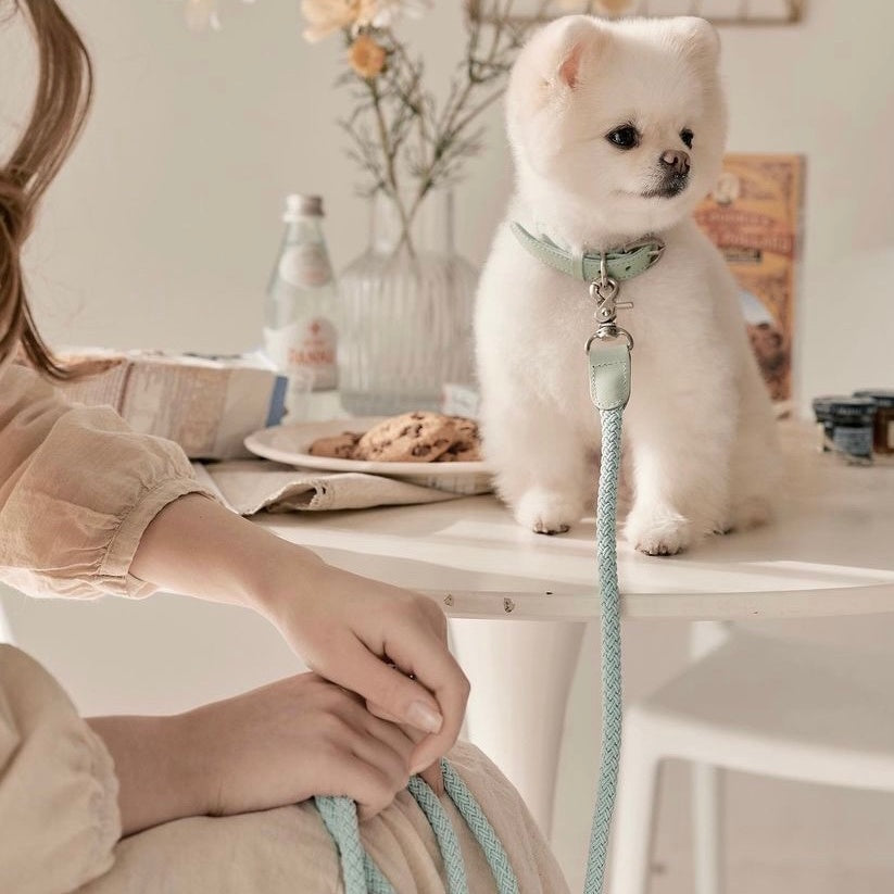 Classic Leash 1.8m 手持ちリード(ミント)