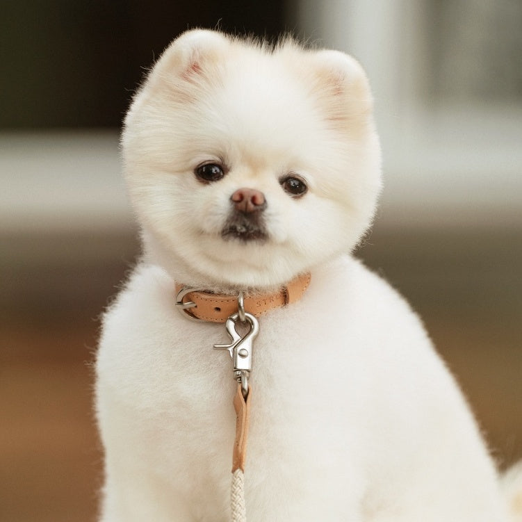 Rope Collar(ベージュ)