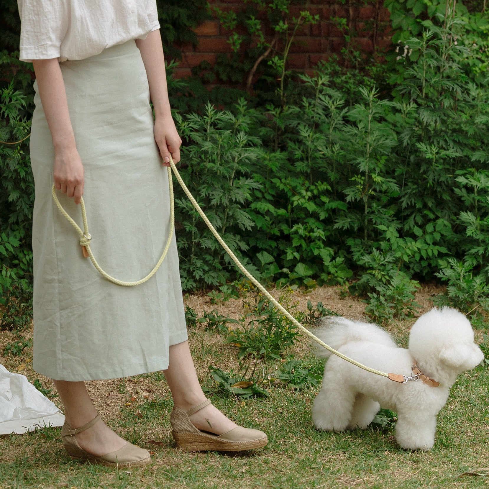 Classic Leash 1.8m 手持ちリード(レモンライム)