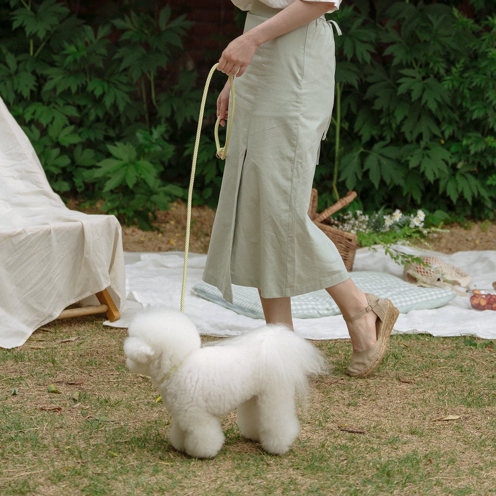 Classic Leash 1.8m 手持ちリード(レモンライム)