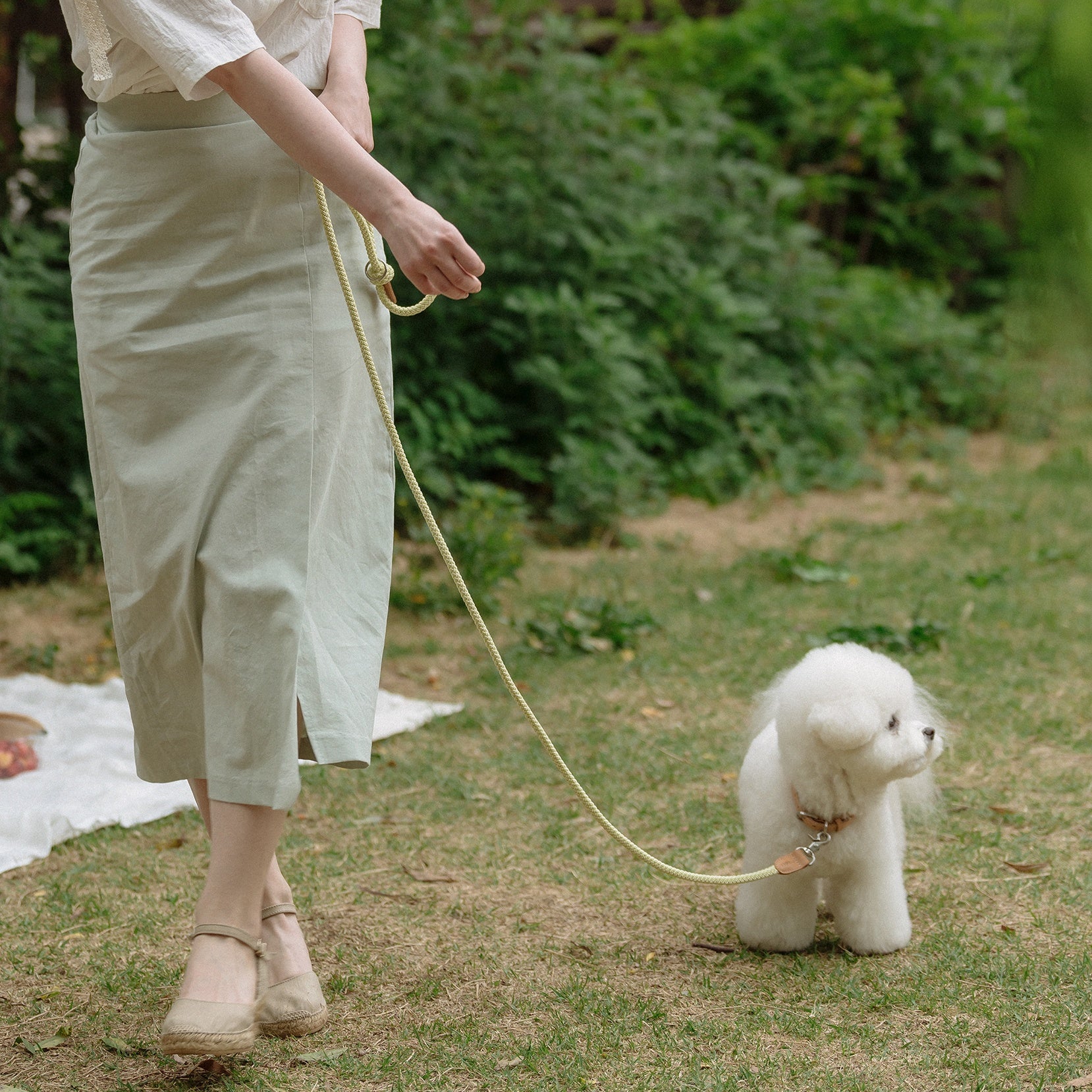 Classic Leash 1.8m 手持ちリード(レモンライム)