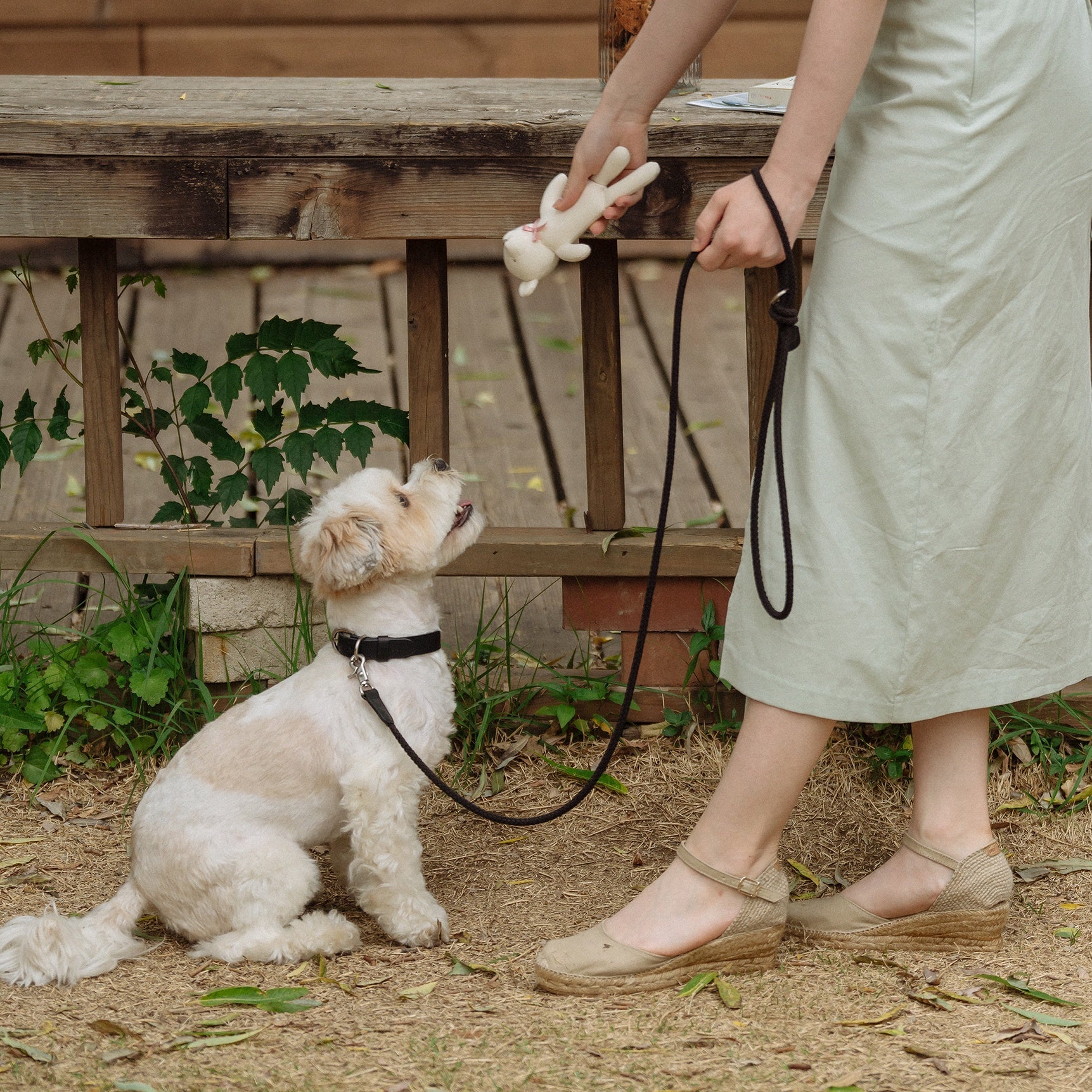 Rope Collar(ブラック)