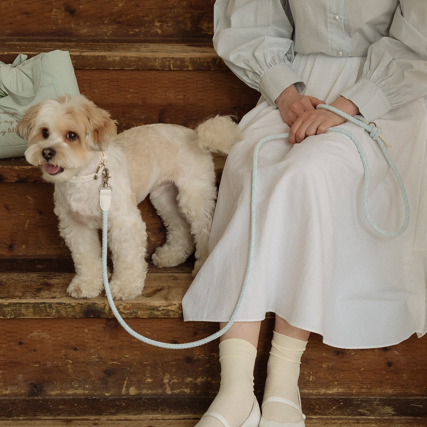 Classic Leash 1.8m 手持ちリード(ソーダ)