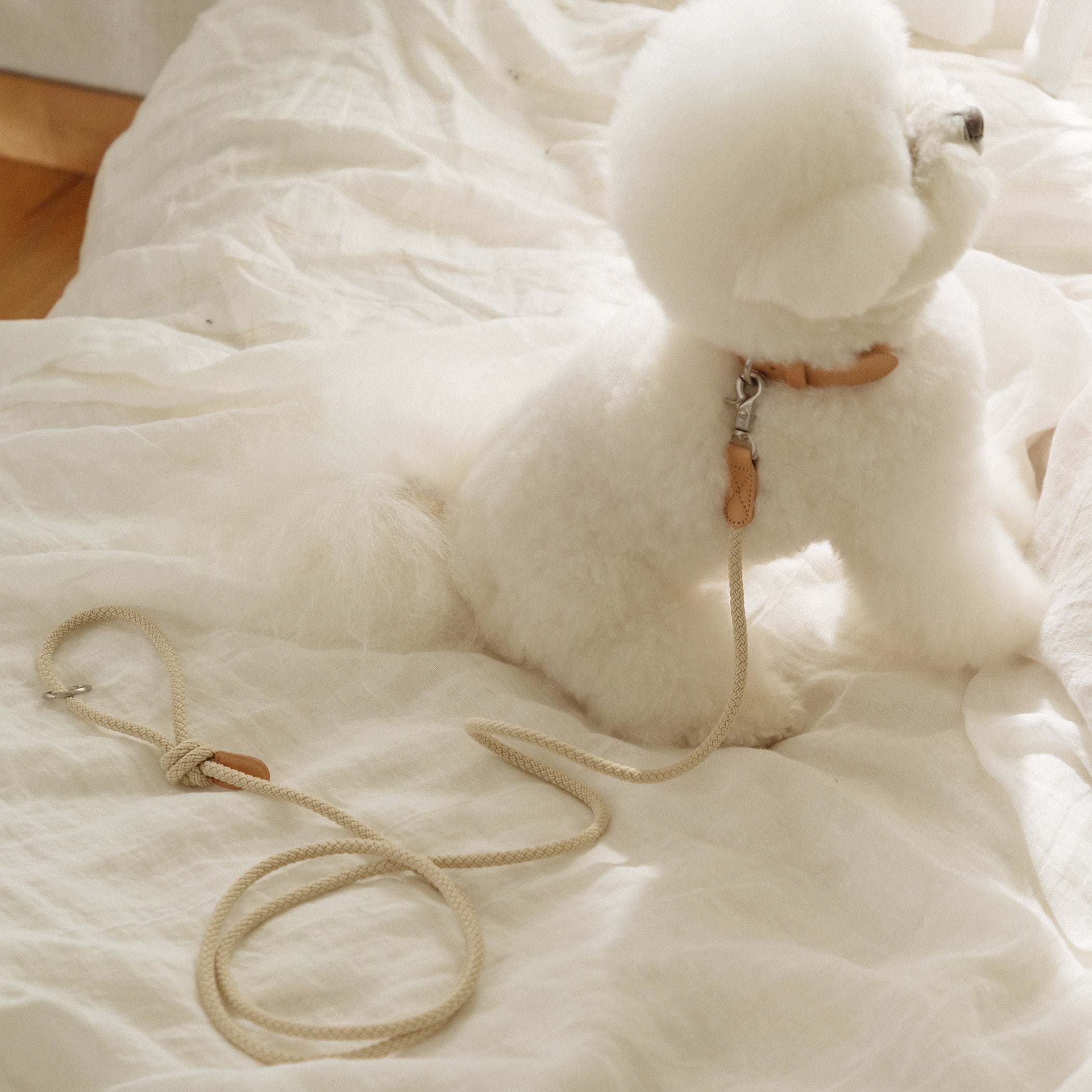 Classic Leash 1.8m 手持ちリード(ベージュ)