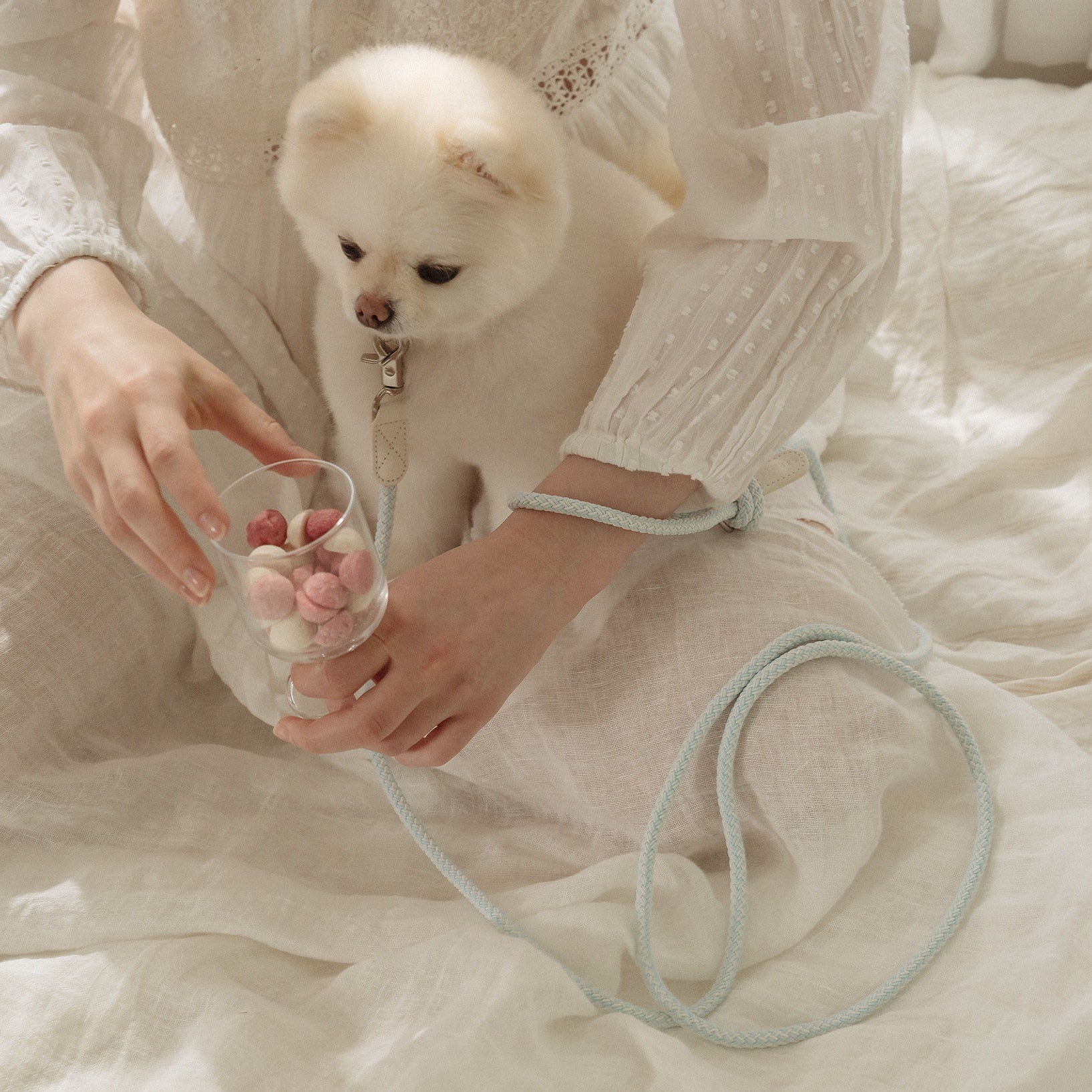 Classic Leash 1.8m 手持ちリード(ソーダ)