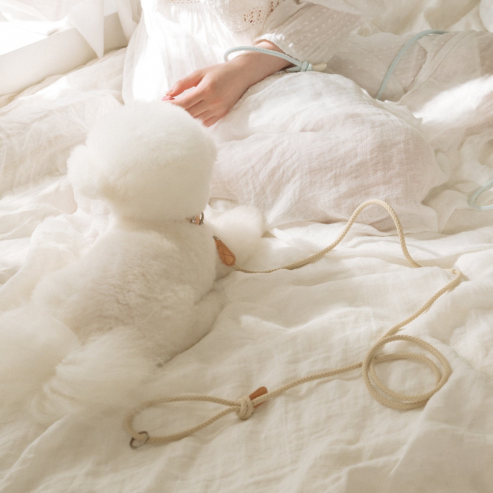 Classic Leash 1.8m 手持ちリード(ベージュ)