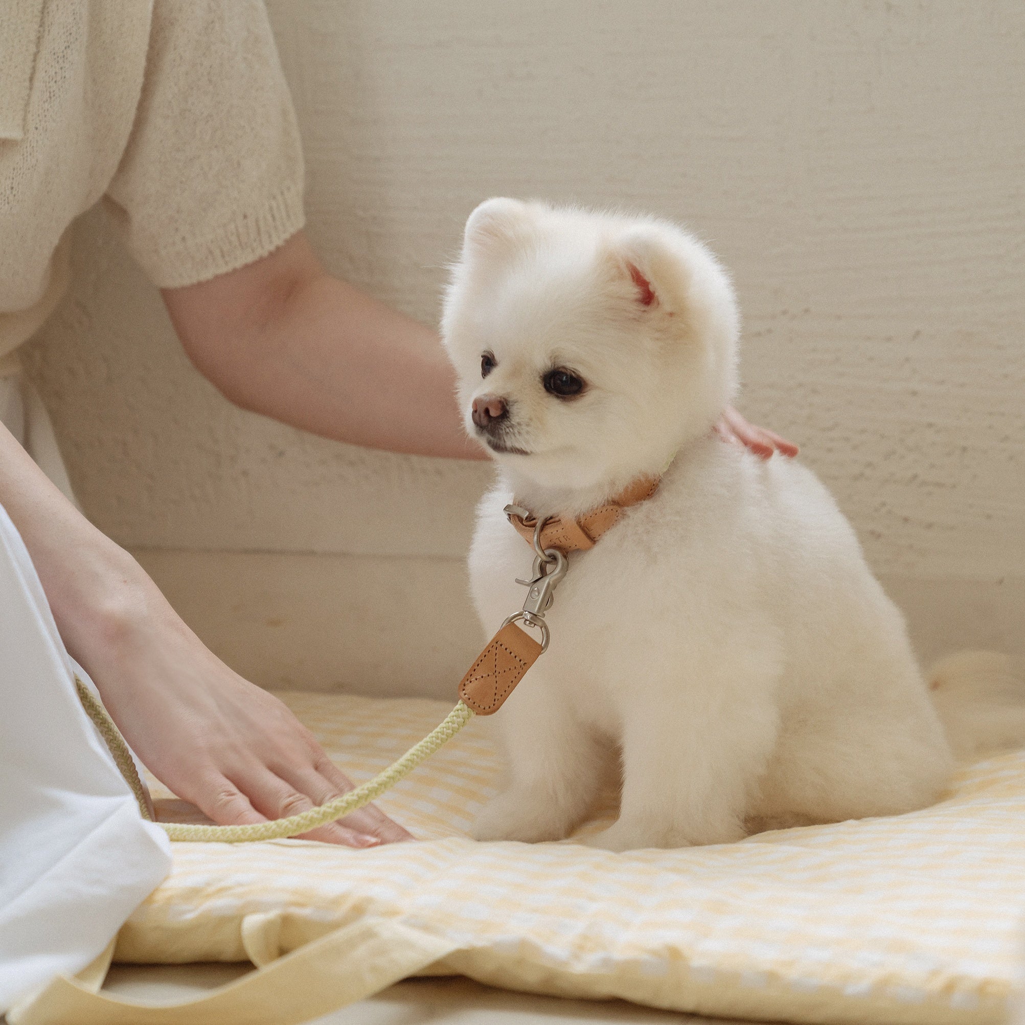 Classic Leash 1.8m 手持ちリード(レモンライム)