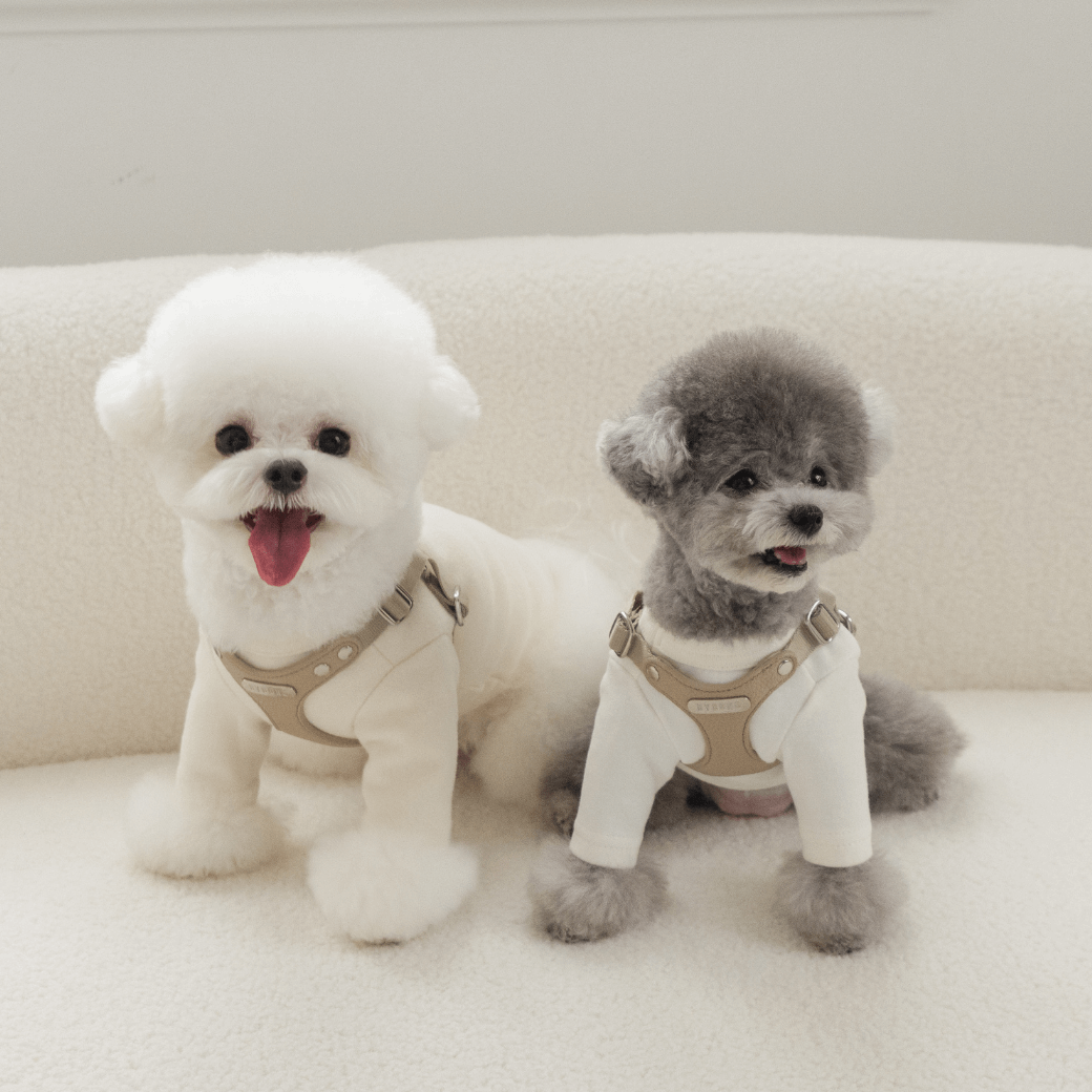 【MINIME】】BYBONG DELIGHT HARNESS 新色ベージュXS BYBONG DELIGHT HARNESS（ベージュ）｜MINIME公式通販サイト