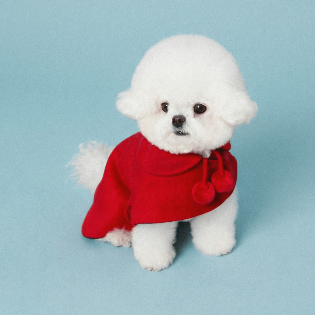 Reversible wool puppy pom-pom coat (Red)