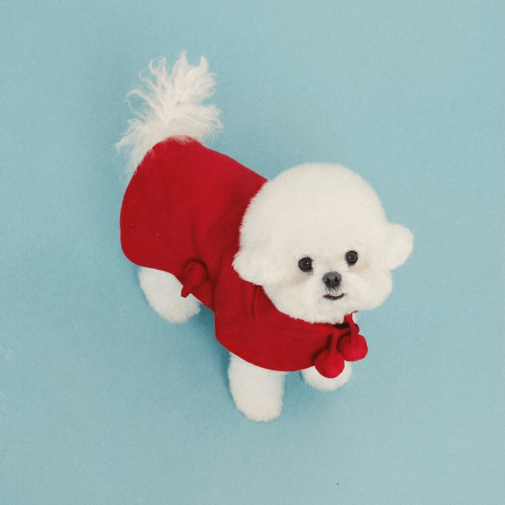 Reversible wool puppy pom-pom coat (Red)