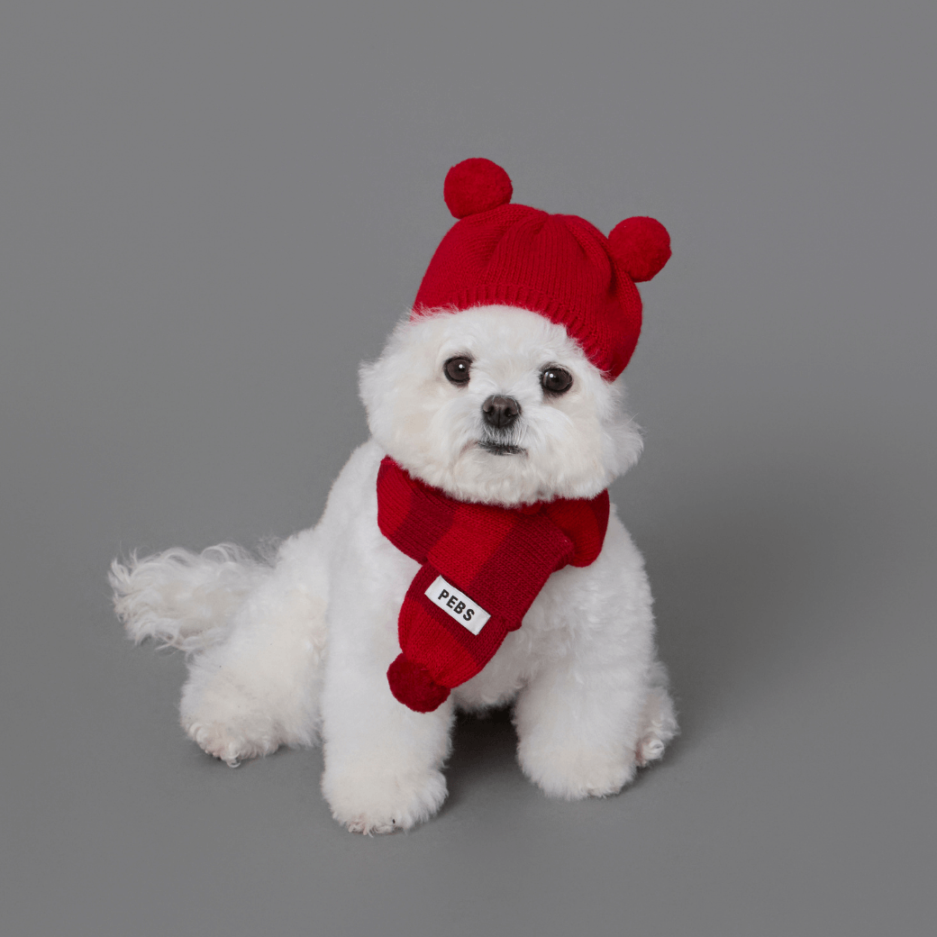 WOOL PUPPY PUPPY BEANIE(RED)