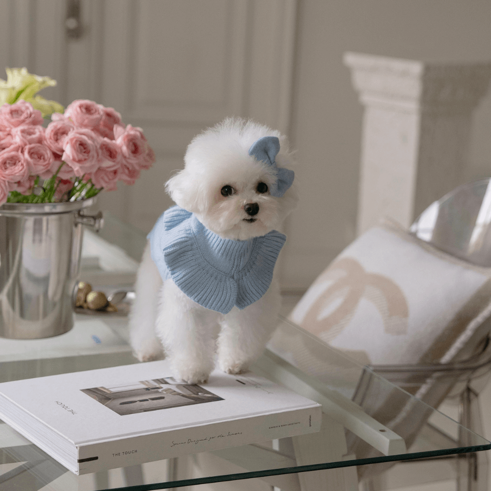 Frill Knit(Ciel Blue)