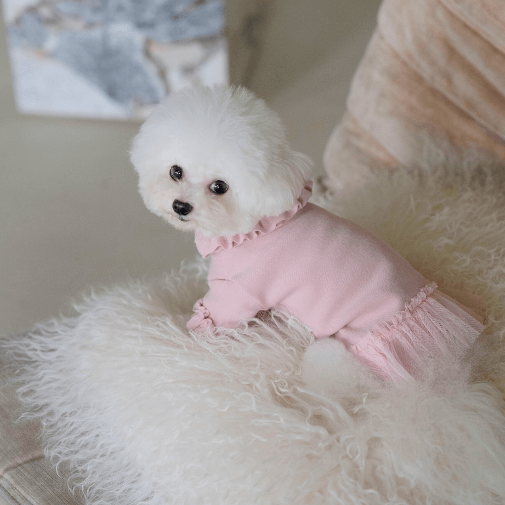 Plie Tu-Tu T-shirt(Pink)