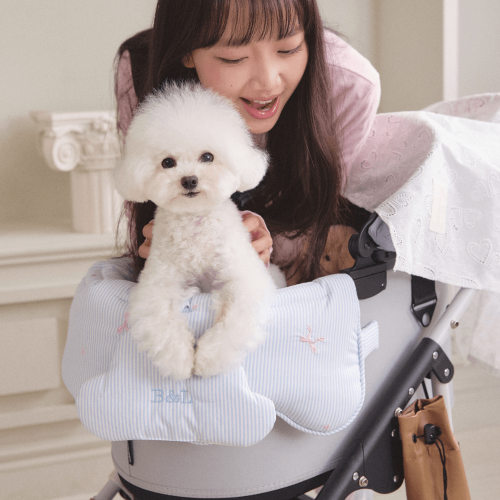 【予約】Fluffy Buggy Pillow(Dream Sky)