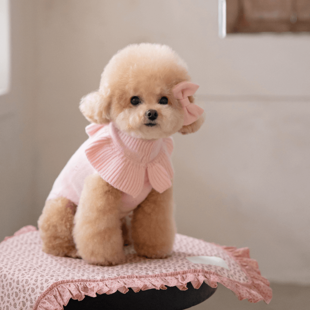 Frill Knit(Strawberry Pink)