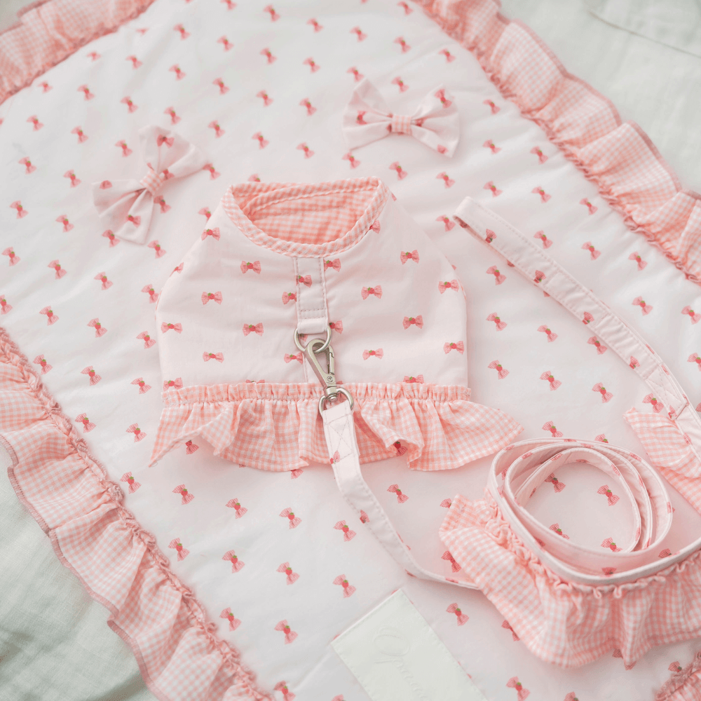 XOXO Candy Leash(Pink)