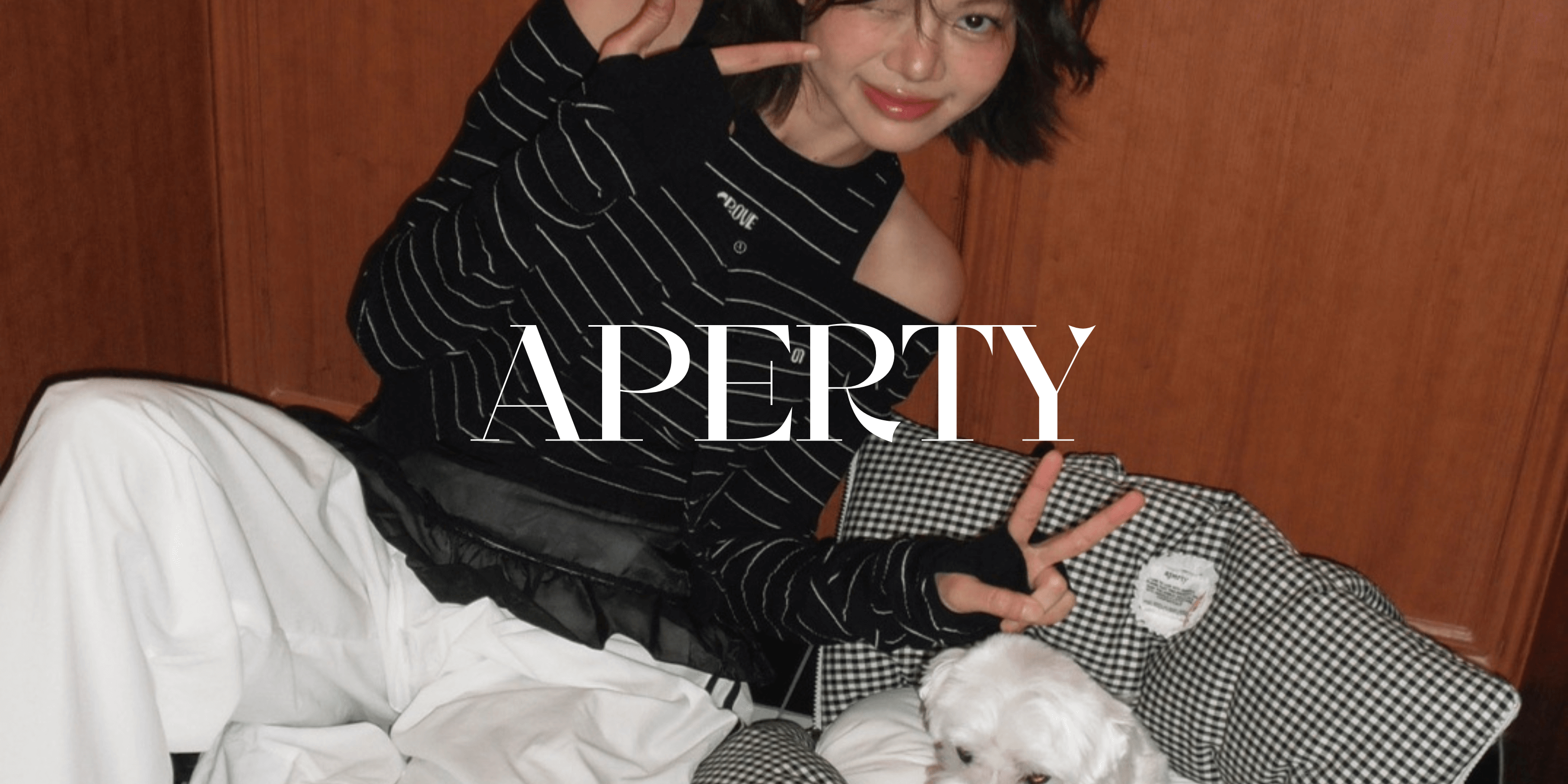 APERTY wide bag 犬用キャリーバッグ 商品写真