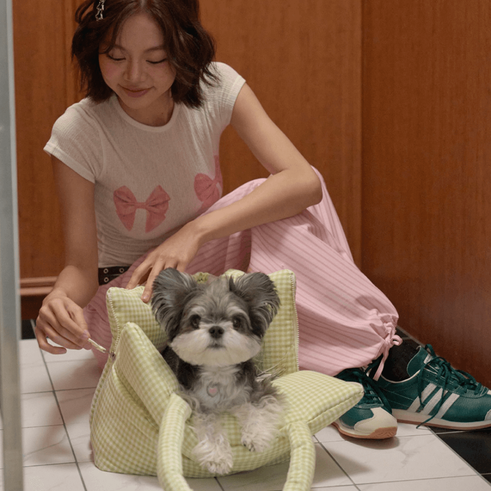 APERTY wide bag plaid green|軽くて収納力のある2WAY犬用キャリーバッグ(ベッドにもなる)
