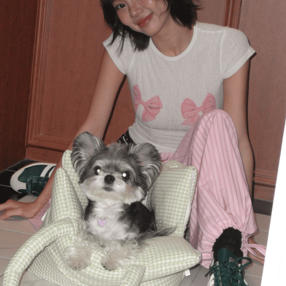 APERTY wide bag plaid green|軽くて収納力のある2WAY犬用キャリーバッグ(ベッドにもなる)