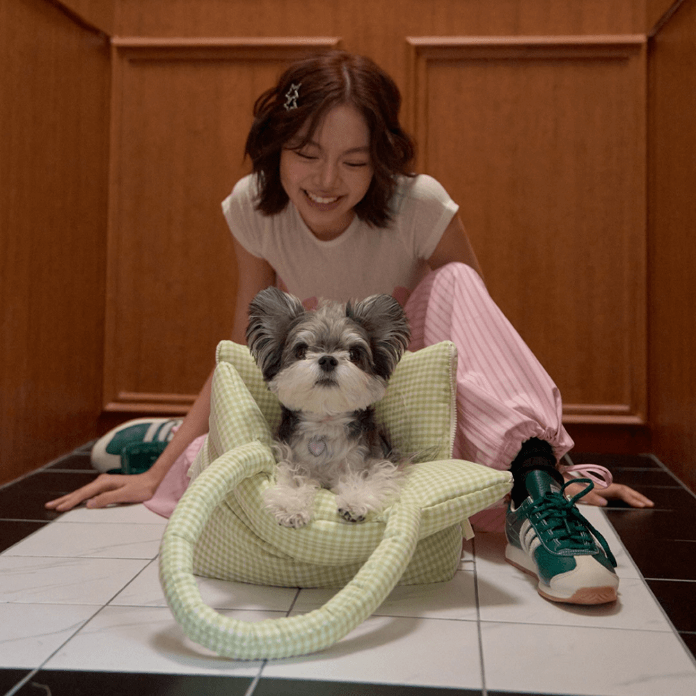 APERTY wide bag plaid green|軽くて収納力のある2WAY犬用キャリーバッグ(ベッドにもなる)