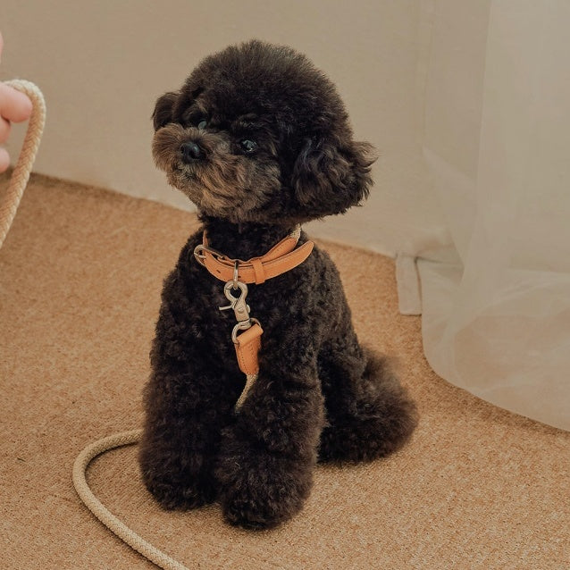 Rope Collar(ベージュ)