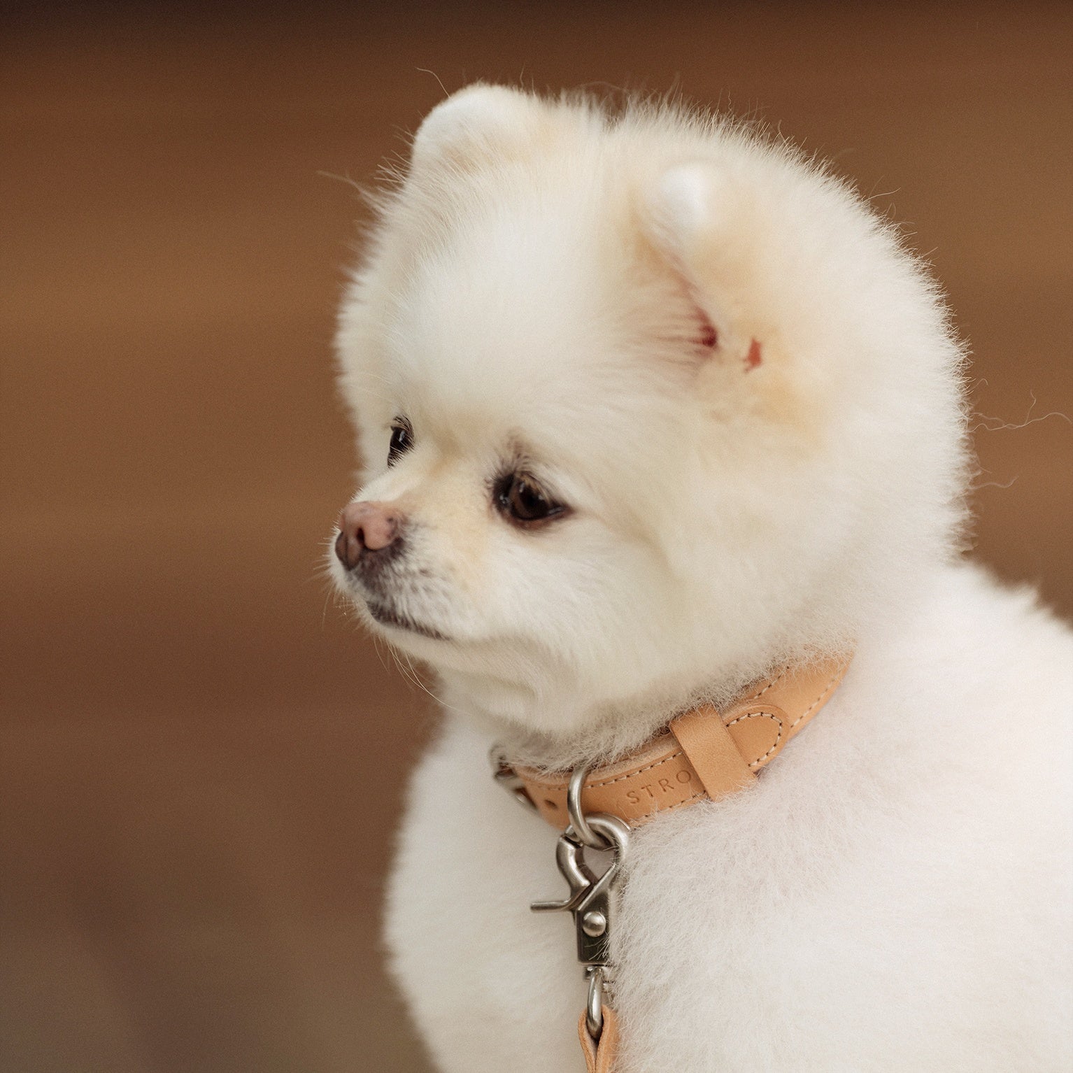 Rope Collar(ベージュ)
