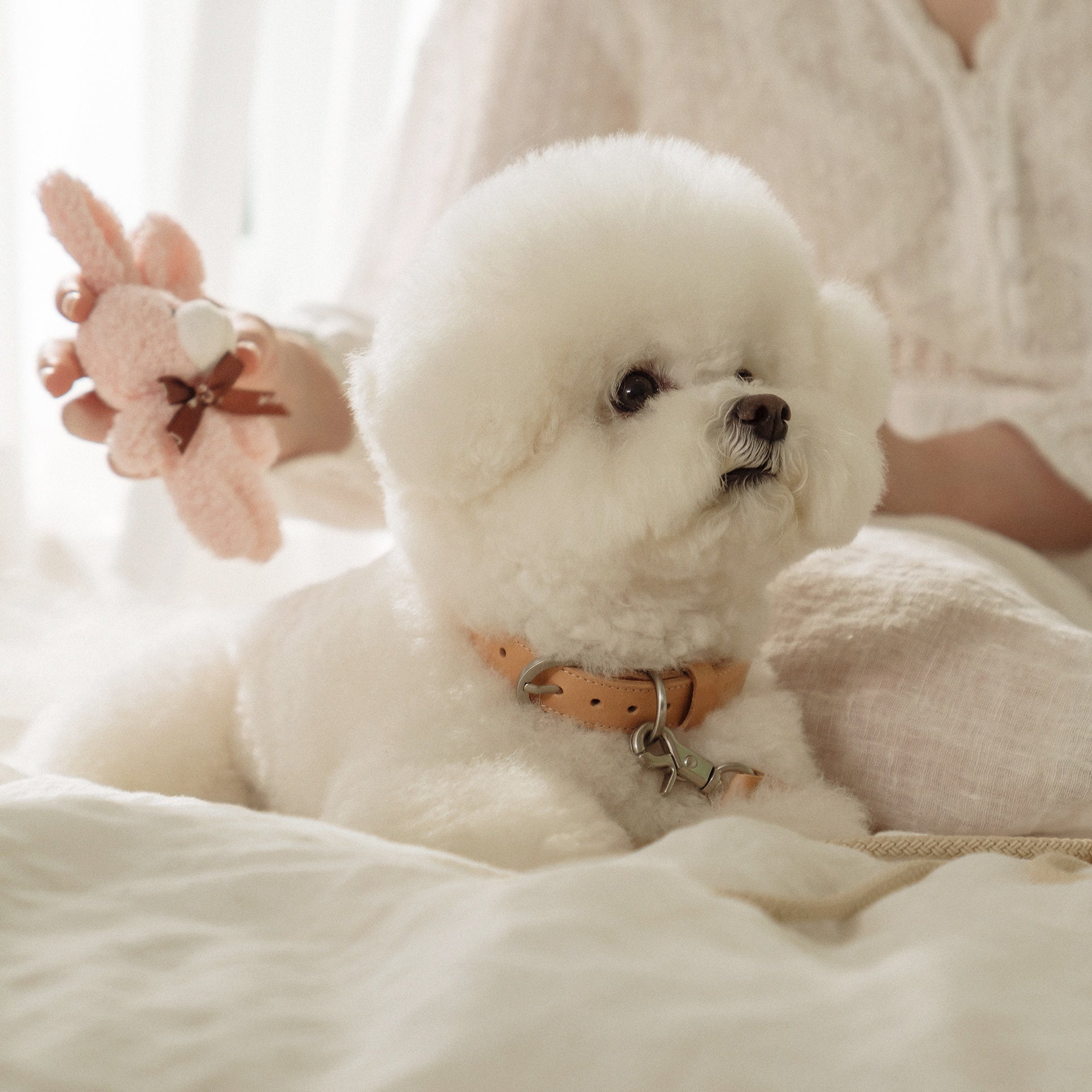 Rope Collar(ベージュ)